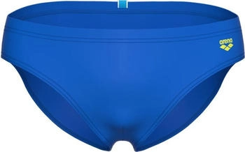 Arena Santamarias Swim Briefs blau grün