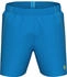 Arena Fundamentals Boxer Swim Trunks blau grün