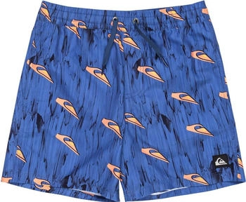 Quiksilver Next Gen Volley Boardshorts blau roots