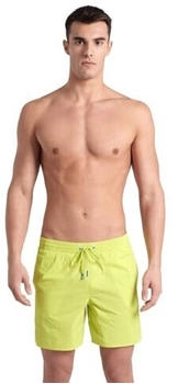 Arena Icons Team Stripe Beach Shorts (007133) soft green/water/white