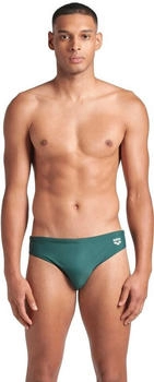 Arena Santamarias R Badeshorts sage