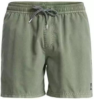 Quiksilver Everyday Surfwash Volley 15" Boardshorts (EQYJV04155) braun/grape leaf