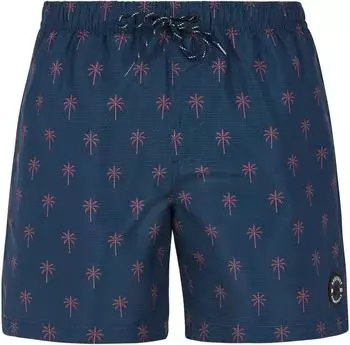 Protest Prtalvis Badeshorts (2711543) night s navy
