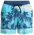 Quiksilver Everyday Printed Volley 15" Boardshorts
