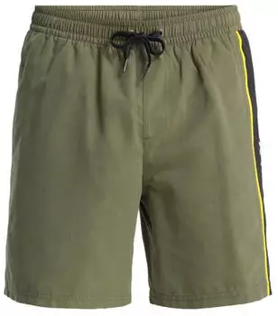 Quiksilver Everyday Clicker Volley 17" Boardshorts braun/gr&uuml;n