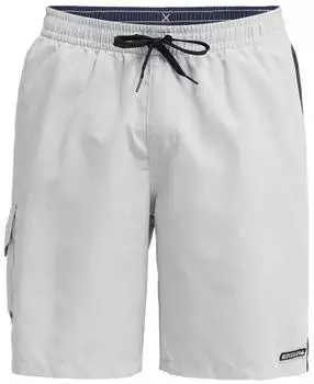 Quiksilver Everyday Dialer Volley 20" Boardshorts grau