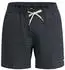 Quiksilver Stretch Printed Volley 16