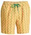Quiksilver Stretch Printed Volley 16