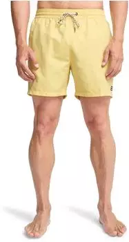 Billabong All Day Layback Boardshorts (EBYJV00134-ygj0) retro gelb