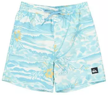 Quiksilver Everyday Printed Volley 15" Boardshorts (60729966) aqua sundown