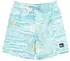 Quiksilver Everyday Printed Volley 15