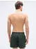 Quiksilver Everyday Volley 15 Badeshorts (EQYJV04120) forest heather