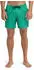 Quiksilver Stretch Printed Volley 16
