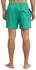 Quiksilver Stretch Printed Volley 16