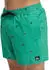 Quiksilver Stretch Printed Volley 16