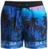 Quiksilver Everyday Printed Volley 15" Boardshorts
