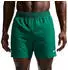 Nike Swim Essentialap 5