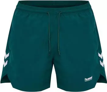 Hummel Pulse Shorts (229896)