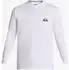 Quiksilver Everyday Surf Tee Swim Shorts (AQYWR03136) weiß