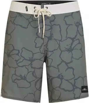 O'Neill Hyperfreak Mysto Scallop 19