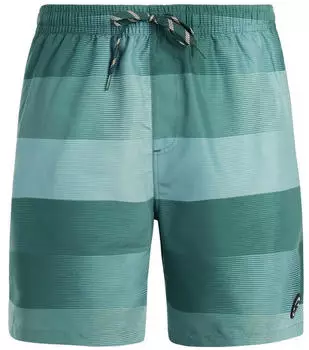 Protest Lomond Badeshorts dark teal