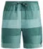 Protest Lomond Badeshorts dark teal