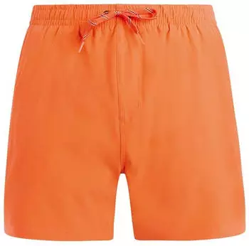 Protest PRTIgapo Badeshorts pflaume