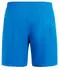 Protest PRTBaky Boardshorts (2719400) cali blue