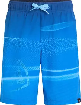 Firefly Lucio B Corporate Digital Badeshorts black-anguria-white