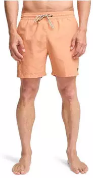 Billabong All Day Heritage 16 Boardshort (EBYJV00134) faded orange