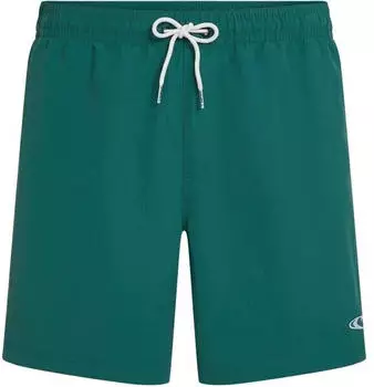 O'Neill Vert 16'' Badeshorts (15097) botanical heat