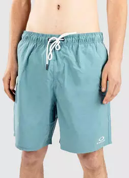 Oakley Clear Lake 18" Volley Boardshorts (FOA404024) dark pacific