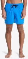 Quiksilver EQYJV04120-BQV1, Quiksilver - Everyday Solid Volley - Boardshorts Gr...
