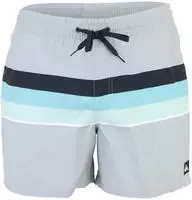 Quiksilver EQYJV04219SJE6, Quiksilver - Everyday Printed Volley 15'' - Badehose Gr S