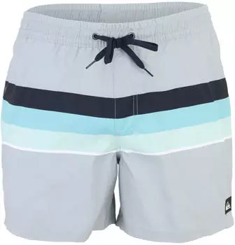 Quiksilver Everyday Printed Volley 15 Badeshort (EQYJV04219) quarry outside stripe
