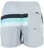 Quiksilver Everyday Printed Volley 15 Badeshort (EQYJV04219) quarry outside stripe
