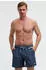 Camp David Swim Shorts (14389542) harbour blue
