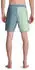 Billabong Ventura Low Tide Boardshorts (34266206) dusty grün