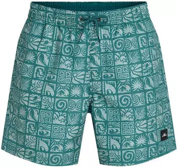 O'Neill Print Badeshorts (2800252) blue bricks