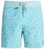 Quiksilver Everyday 16" Boardshorts (EQYBS04897)