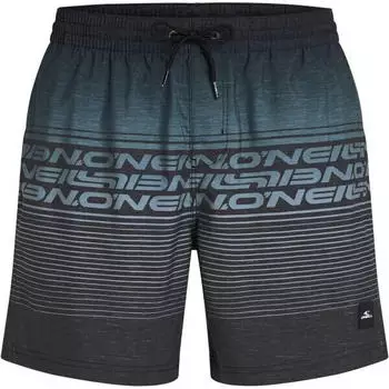O'Neill Logo Stripe 16'' Boardshorts (2800259) schwarz