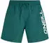 O'Neill Logo 16'' Badeshorts (15097) botanical heat/jade/weiß