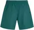 O'Neill Logo 16'' Badeshorts (15097) botanical heat/jade/weiß
