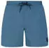 Protest Faster Swim Shorts airforces