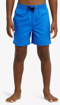 Quiksilver Everyday Volley 14" Badeshorts nebulas blue