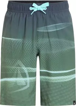 Firefly Lucio B Corporate Digital Badeshorts (434986) green dark