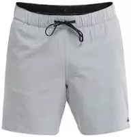 Quiksilver EQYHY03892-SJEH-33, Quiksilver Highline Amphibian 17'' Shorts Grau...