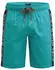 Camp David Badeshorts (CB2604-8333-43) island grün