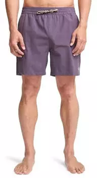 Billabong Every Other Day Boardshorts (EBYJV00145) dusty grape