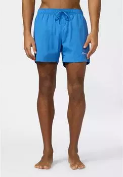 Champion Legacy Beachshorts mit kleinem Logo (222193-BS220) azur